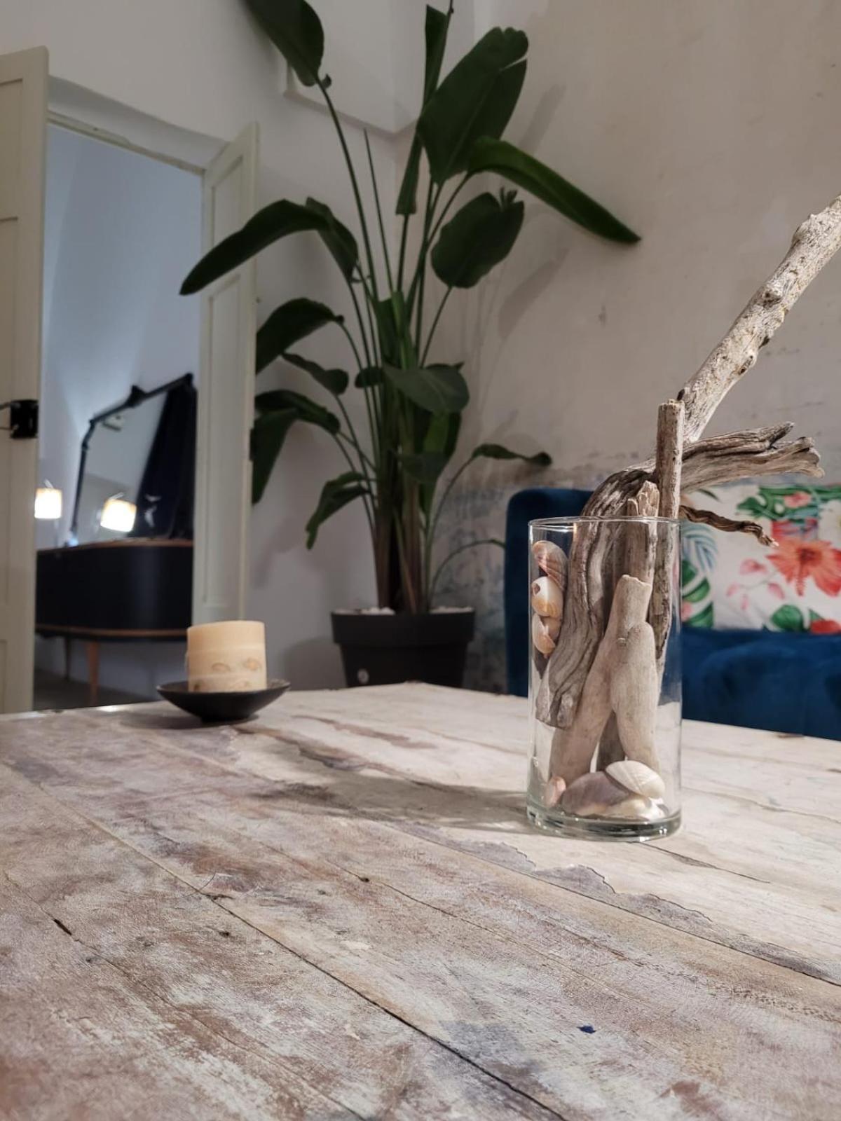 普雷西切Casa Delle Rondini别墅 外观 照片